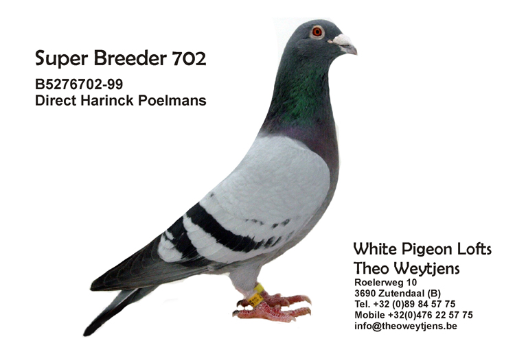 breeder 702
